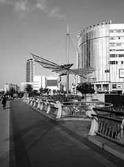 井研公司注册